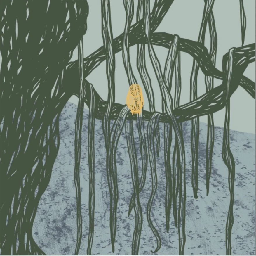 Kisah forest animation frame